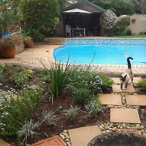 Calico Port Elizabeth